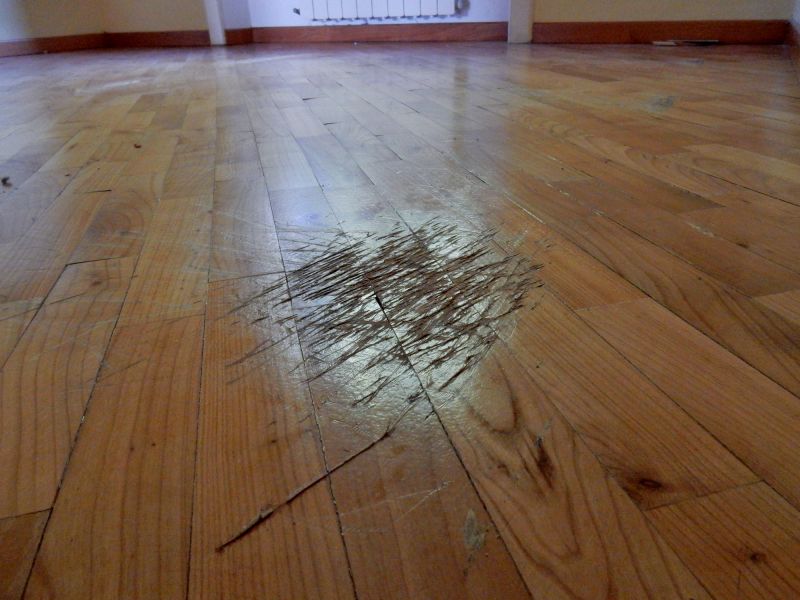 Tiger Wood Floor Refinishing in Olathe, KS